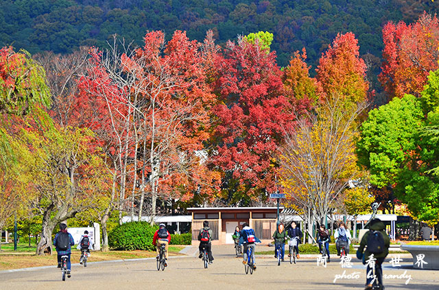 岡山-廣島D7000 013.JPG 岡山-廣島D7000 013.JPG