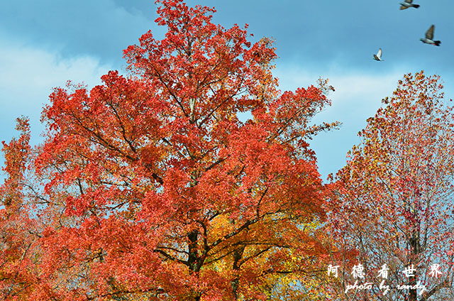 岡山-廣島D7000 032.JPG 岡山-廣島D7000 032.JPG
