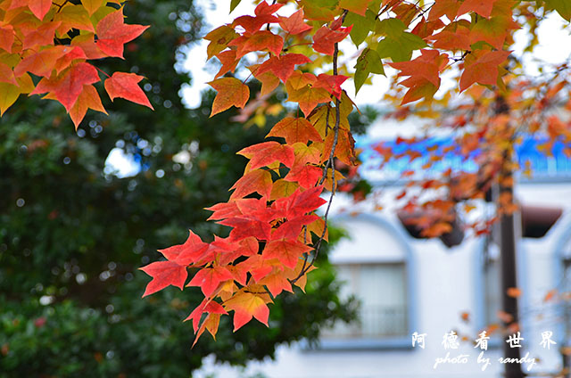 岡山-廣島D7000 047.JPG 岡山-廣島D7000 047.JPG