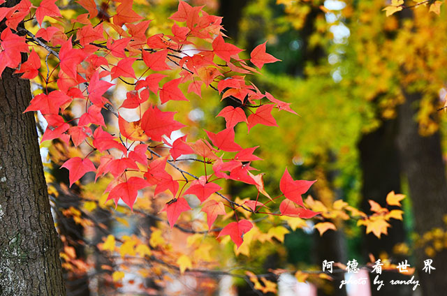 岡山-廣島D7000 064.JPG 岡山-廣島D7000 064.JPG