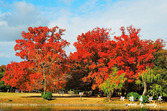 岡山-廣島P77oo 020.JPG 岡山-廣島P77oo 020.JPG