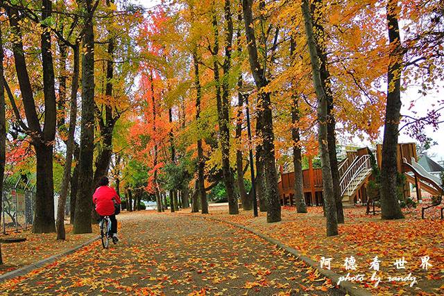 岡山-廣島P77oo 011.JPG 岡山-廣島P77oo 011.JPG
