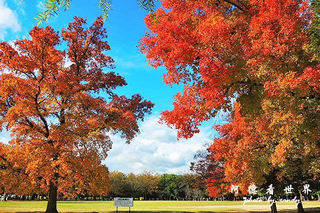 岡山-廣島P77oo 027.JPG 岡山-廣島P77oo 027.JPG