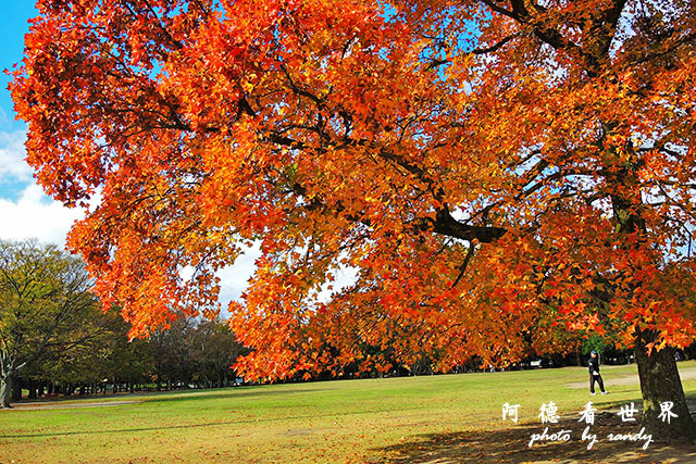 岡山-廣島P77oo 030.JPG 岡山-廣島P77oo 030.JPG