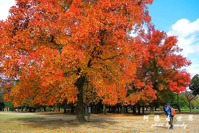 岡山-廣島P77oo 031.JPG 岡山-廣島P77oo 031.JPG