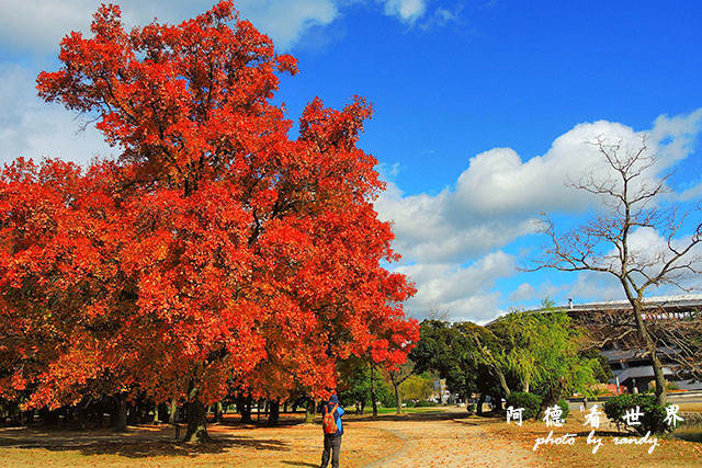 岡山-廣島P77oo 033.JPG 岡山-廣島P77oo 033.JPG