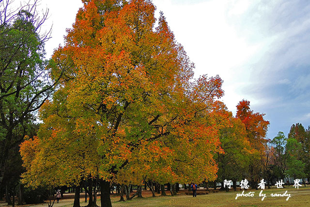 岡山-廣島P77oo 048.JPG 岡山-廣島P77oo 048.JPG