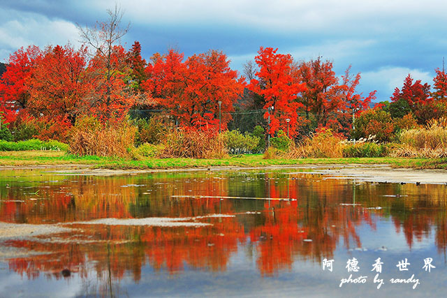 岡山-廣島P77oo 053.JPG 岡山-廣島P77oo 053.JPG