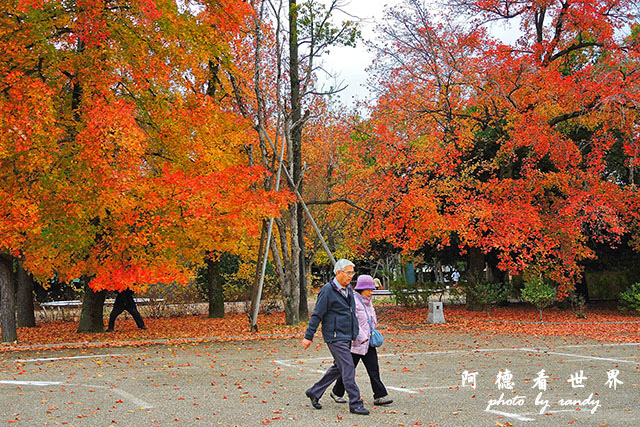 岡山-廣島P77oo 061.JPG 岡山-廣島P77oo 061.JPG