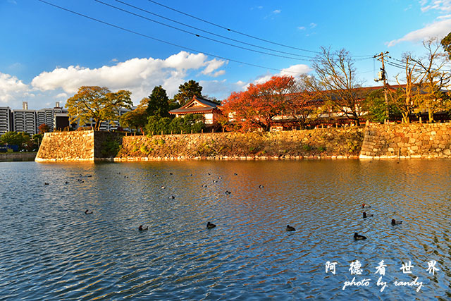 岡山-廣島D810 231.JPG 岡山-廣島D810 231.JPG