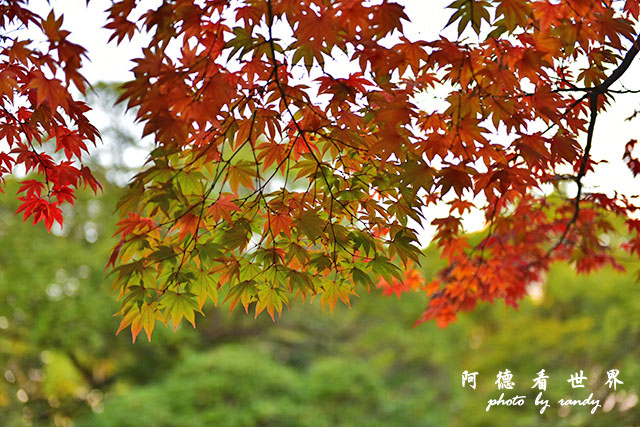 岡山-廣島D810 254.JPG 岡山-廣島D810 254.JPG