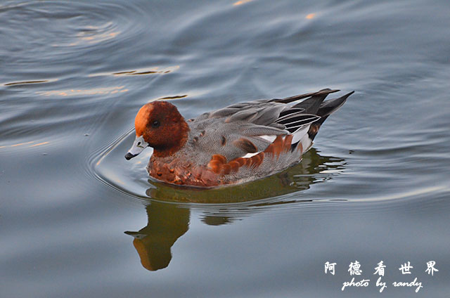 岡山-廣島D7000 072.JPG 岡山-廣島D7000 072.JPG