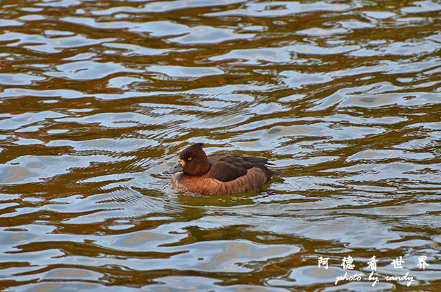 岡山-廣島D7000 075.JPG 岡山-廣島D7000 075.JPG