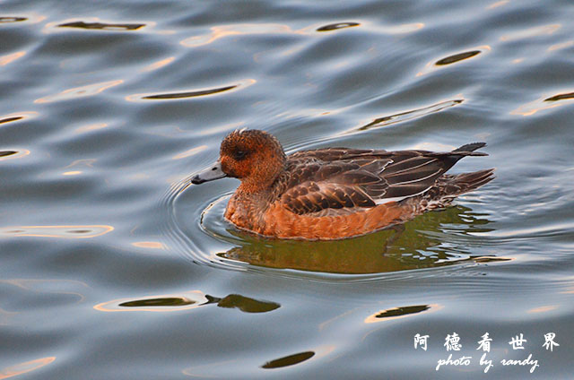 岡山-廣島D7000 074.JPG 岡山-廣島D7000 074.JPG