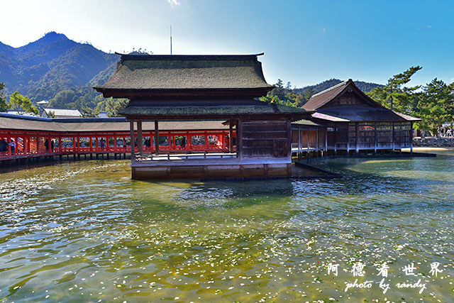 宮島D810 104.JPG 宮島D810 104.JPG