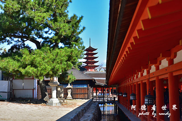 宮島D810 124.JPG 宮島D810 124.JPG