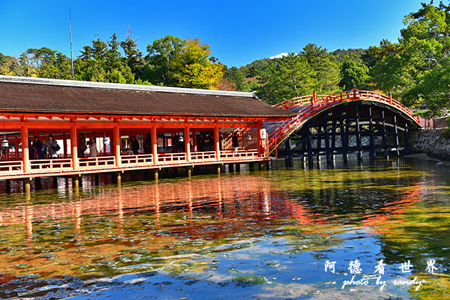 宮島D810 122.JPG 宮島D810 122.JPG