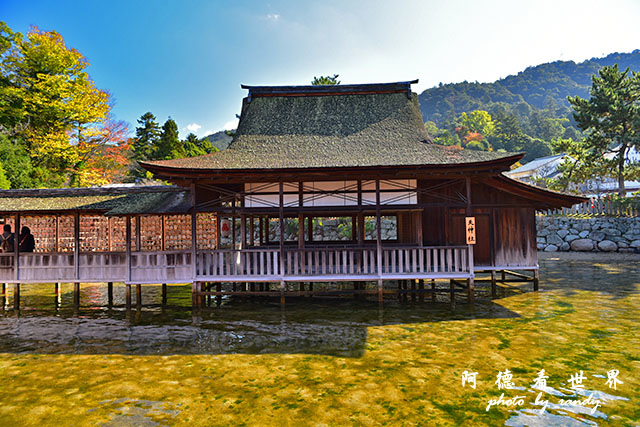 宮島D810 113.JPG 宮島D810 113.JPG