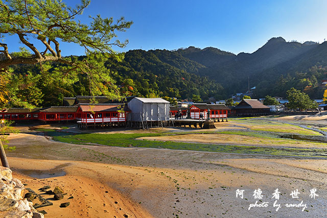 宮島D810 270.JPG 宮島D810 270.JPG