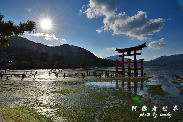 宮島D810 285.JPG 宮島D810 285.JPG