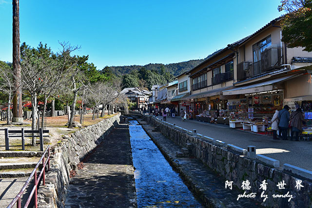 宮島D810 135.JPG 宮島D810 135.JPG