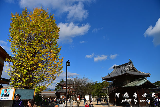 宮島D810 146.JPG 宮島D810 146.JPG