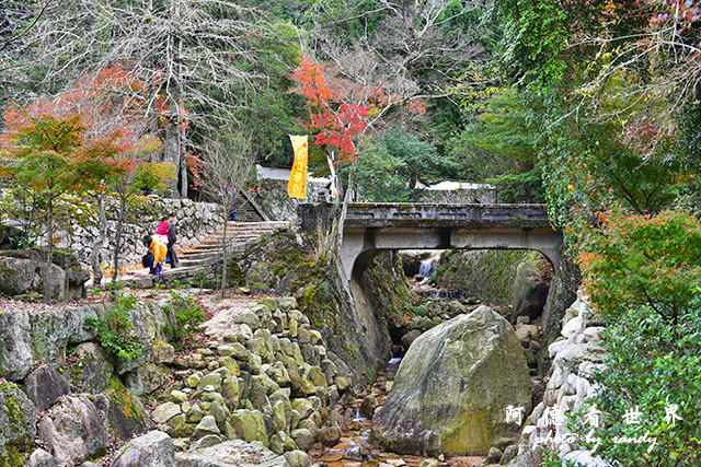 宮島D810 165.JPG 宮島D810 165.JPG