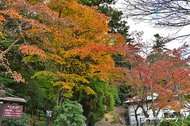 宮島D810 161.JPG 宮島D810 161.JPG