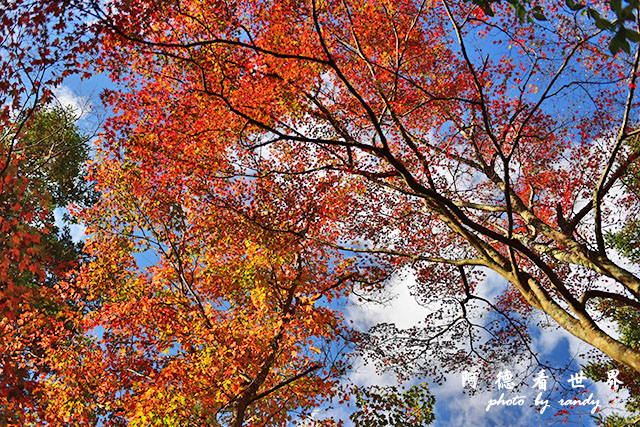 宮島D810 184.JPG 宮島D810 184.JPG