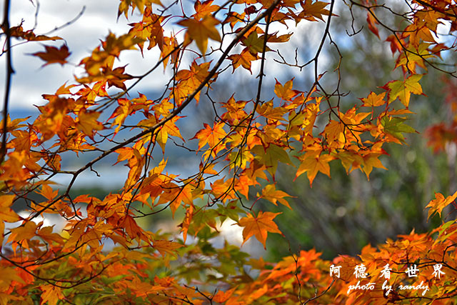 宮島D810 206.JPG 宮島D810 206.JPG