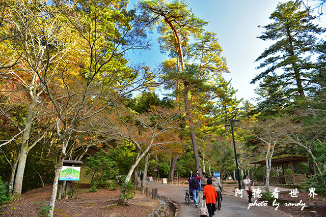 宮島D810 255.JPG 宮島D810 255.JPG