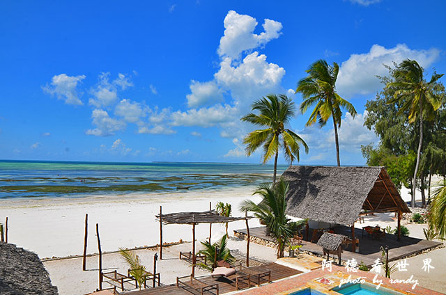 zanzibar4D7000 008.JPG zanzibar4D7000 008.JPG