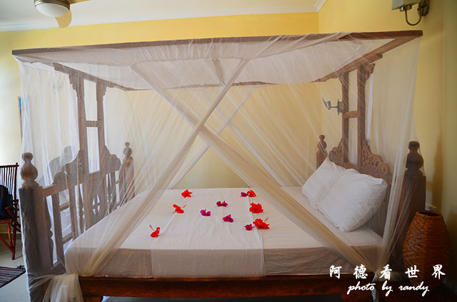 zanzibar4D7000 006.JPG zanzibar4D7000 006.JPG