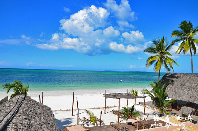 zanzibar4D7000 029.JPG zanzibar4D7000 029.JPG