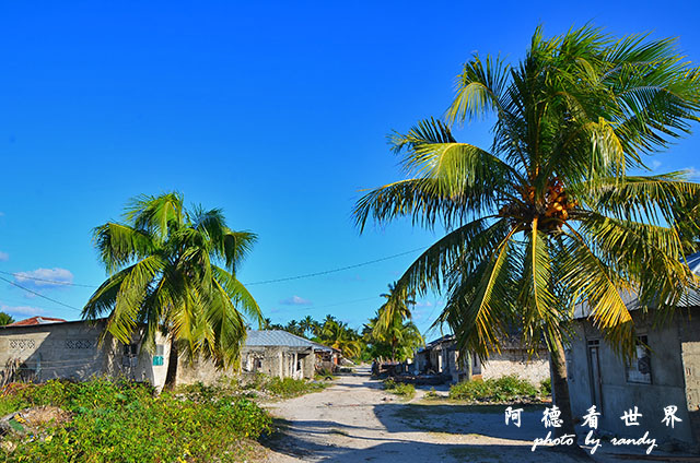 zanzibar4D7000 037.JPG zanzibar4D7000 037.JPG