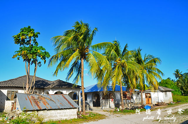 zanzibar4D7000 041.JPG zanzibar4D7000 041.JPG