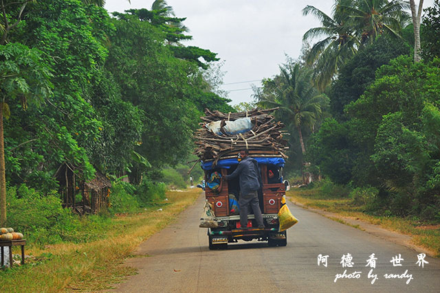 zanzibar6P7700 007.JPG zanzibar6P7700 007.JPG