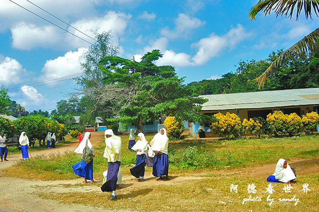 zanzibar6P7700 010.JPG zanzibar6P7700 010.JPG