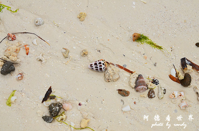 zanzibar5D7000 025.JPG zanzibar5D7000 025.JPG