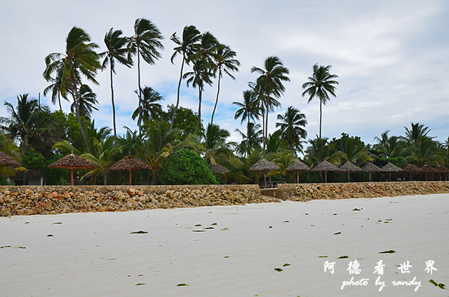 zanzibar5D7000 037.JPG zanzibar5D7000 037.JPG