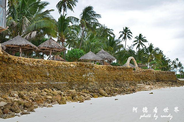 zanzibar5D7000 071.JPG