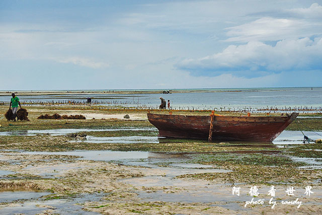 zanzibar5P7700 074.JPG