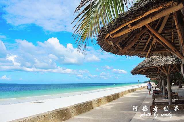 zanzibar5P7700 208.JPG zanzibar5P7700 208.JPG