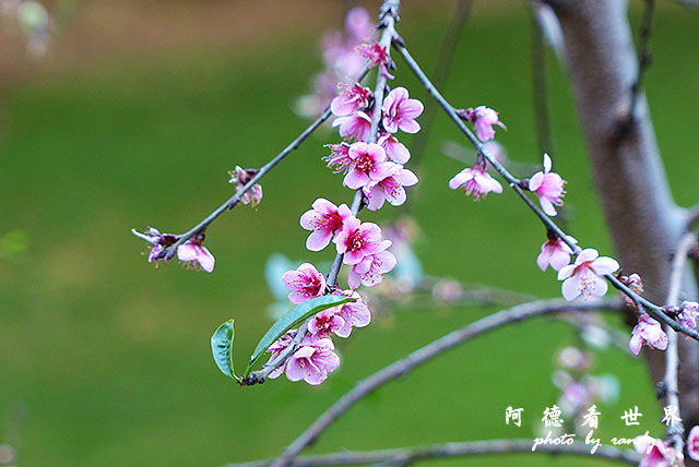 tarangireFZ200 (2).JPG tarangireFZ200 (2).JPG