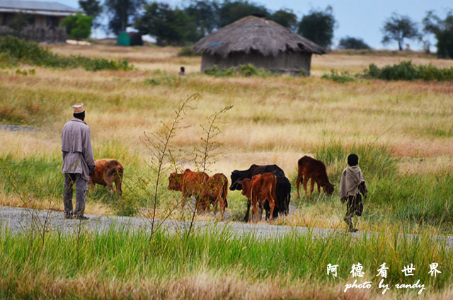 tarangireD7000 022.JPG tarangireD7000 022.JPG