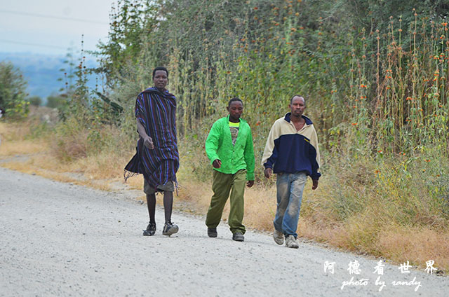 tarangireD7000 023.JPG tarangireD7000 023.JPG