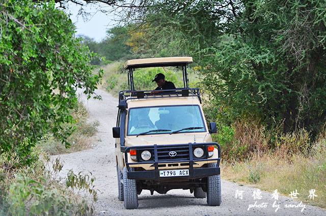 tarangireD7000 034.JPG tarangireD7000 034.JPG