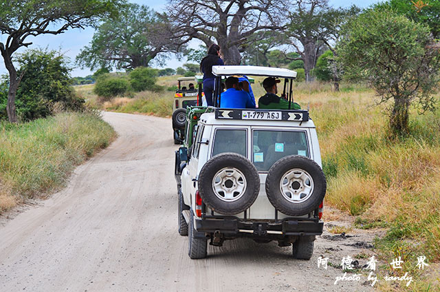 tarangireD7000 110.JPG tarangireD7000 110.JPG