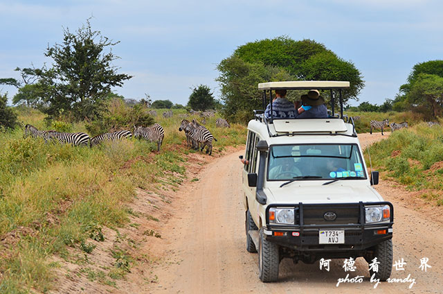 tarangireD7000 119.JPG tarangireD7000 119.JPG