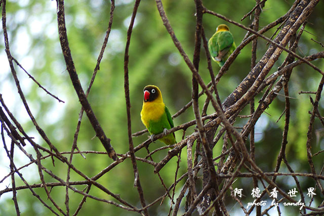 tarangireFZ200 (11).JPG tarangireFZ200 (11).JPG